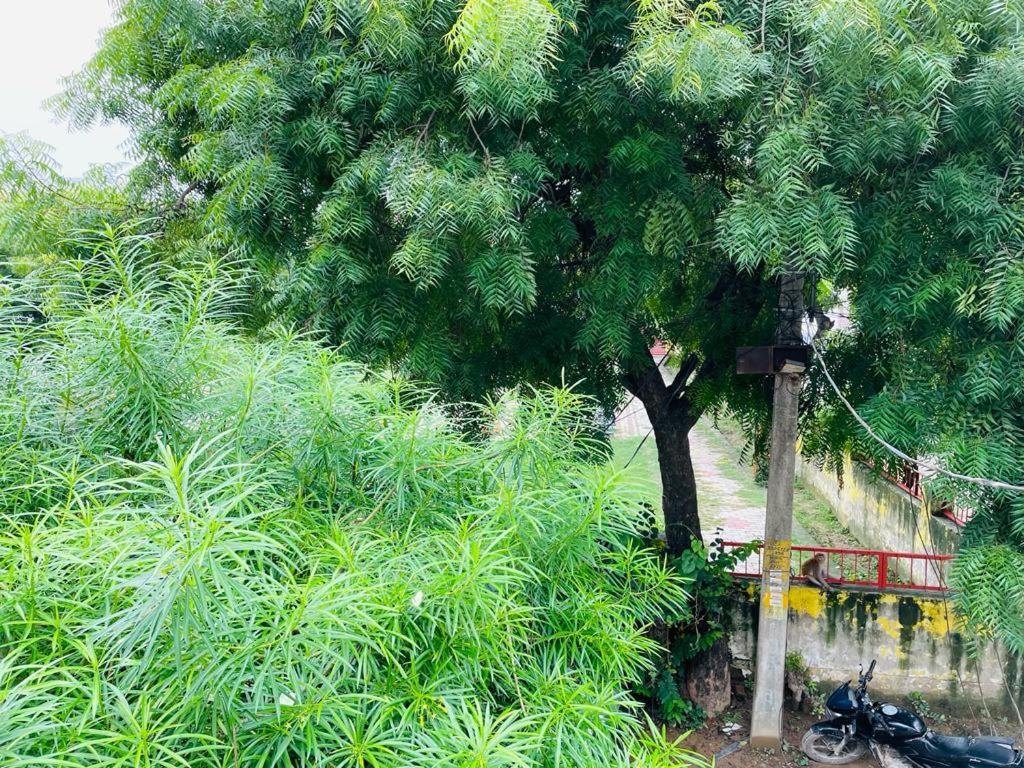 Shree Balaji Homestay Ayodhya Exteriér fotografie